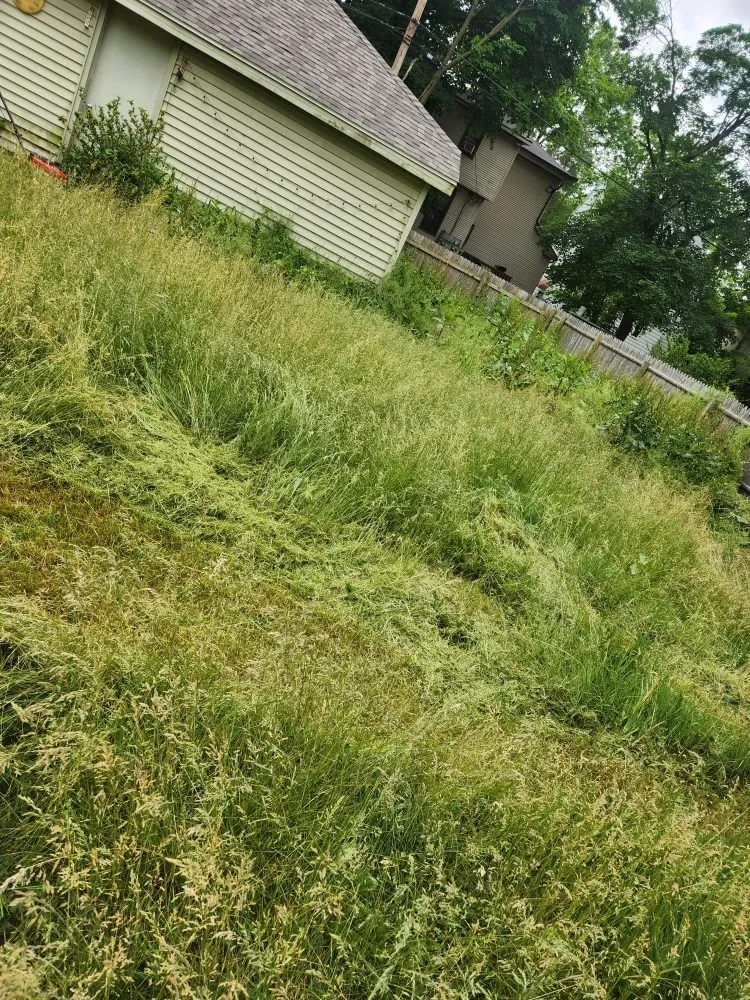 Affordable lawn care service experts serving Grand Rapids, MI - Big Thumbs Lawn Care & Snow Removal