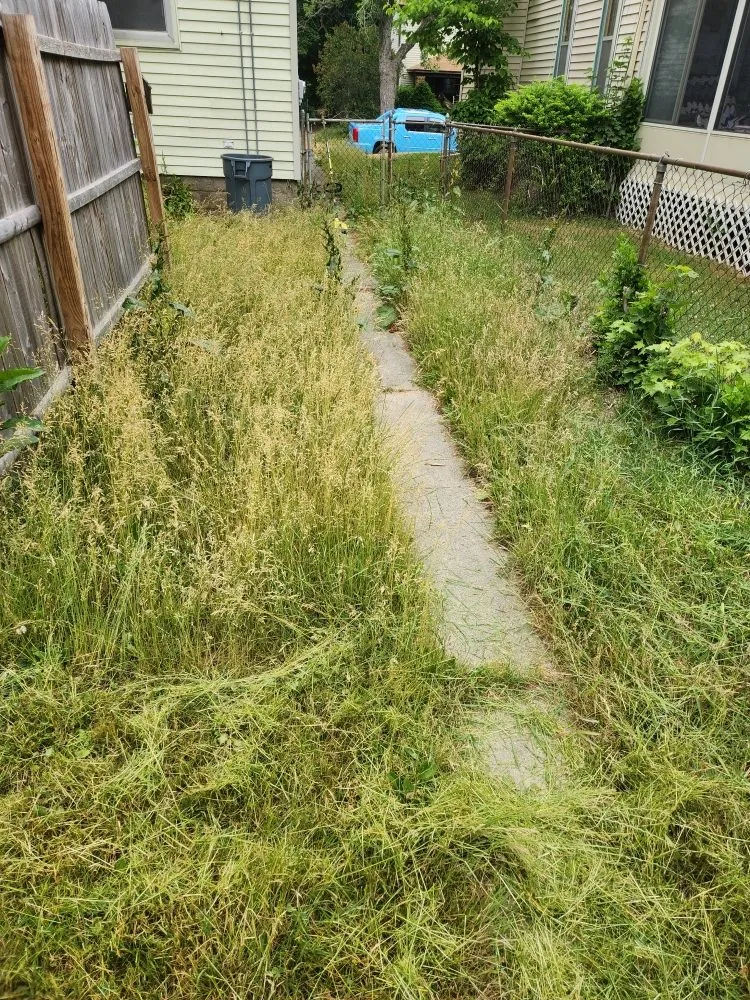 Top-rated landscape design for year-round maintenance in Grand Rapids, MI by Big Thumbs Lawn Care & Snow Removal