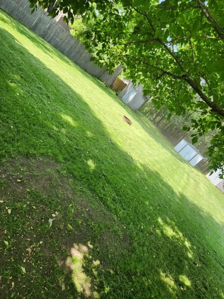 Expert landscape design in Grand Rapids, MI by Big Thumbs Lawn Care & Snow Removal