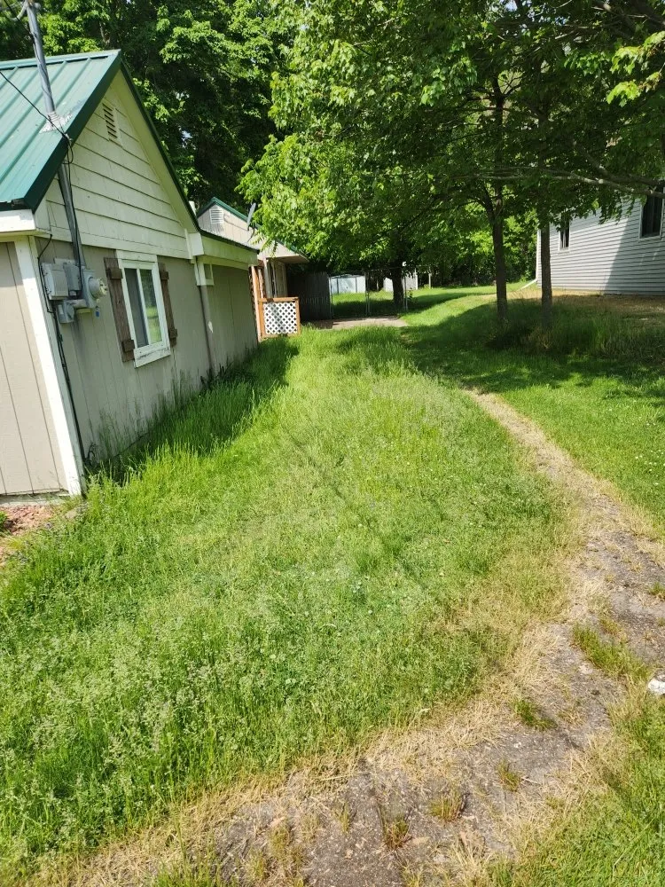 Trusted lawn mowing service in Grand Rapids, MI - Big Thumbs Lawn Care & Snow Removal