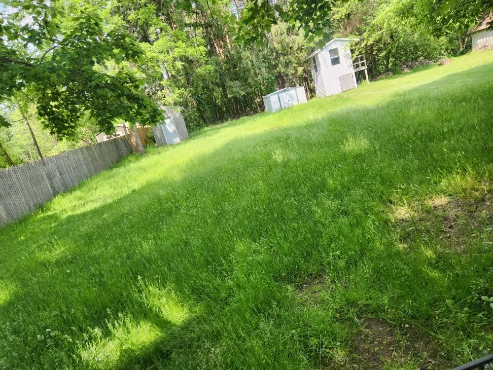 Professional landscaping services for residential properties across Grand Rapids, MI - Big Thumbs Lawn Care & Snow Removal