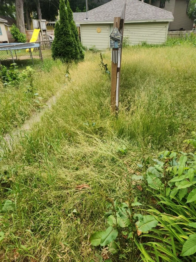 Trusted yard cleanup service in Grand Rapids, MI by Big Thumbs Lawn Care & Snow Removal