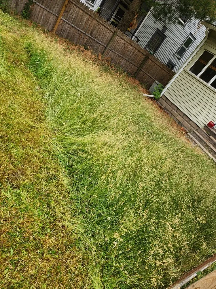 Trusted outdoor landscaping in Grand Rapids, MI by Big Thumbs Lawn Care & Snow Removal