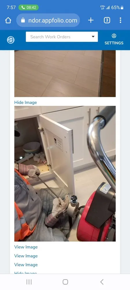 Reliable lawn mowing service in Chicago, IL by Big Time Builders Handyman Service's