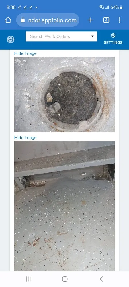 Reliable yard maintenance for homes across Chicago, IL - Big Time Builders Handyman Service's