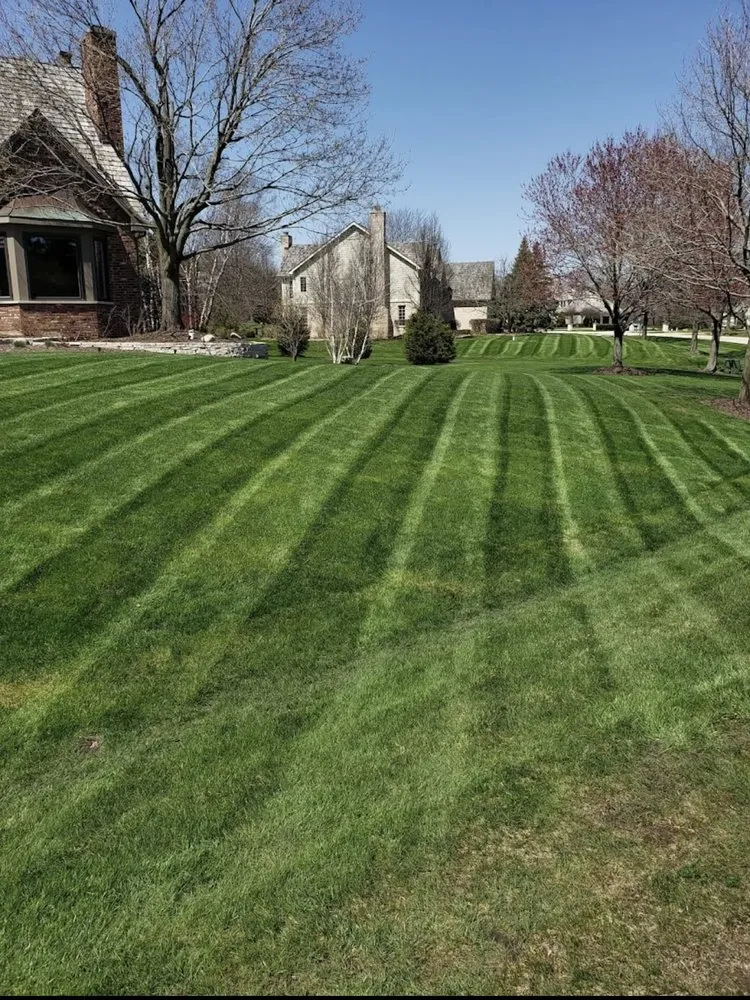 Local landscape installation in Chicago, IL - Big Time Lawn Care