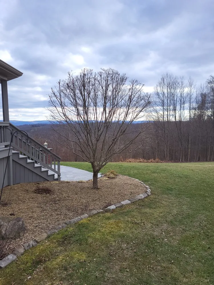 Trusted yard maintenance in Ligonier, PA - Big Tree Landscaping and Lawn