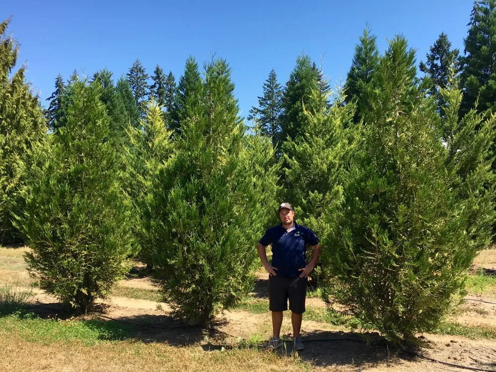 Local garden landscaping near you in Hillsboro, OR by Big Trees Today