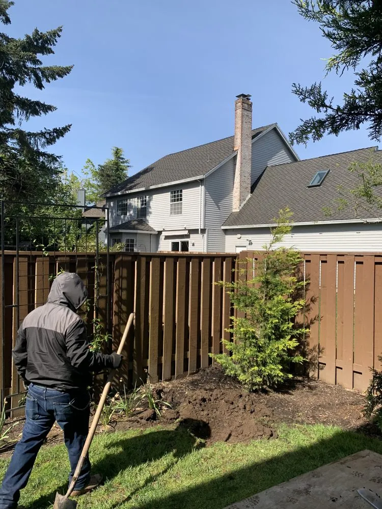 Expert yard maintenance in Hillsboro, OR - Big Trees Today