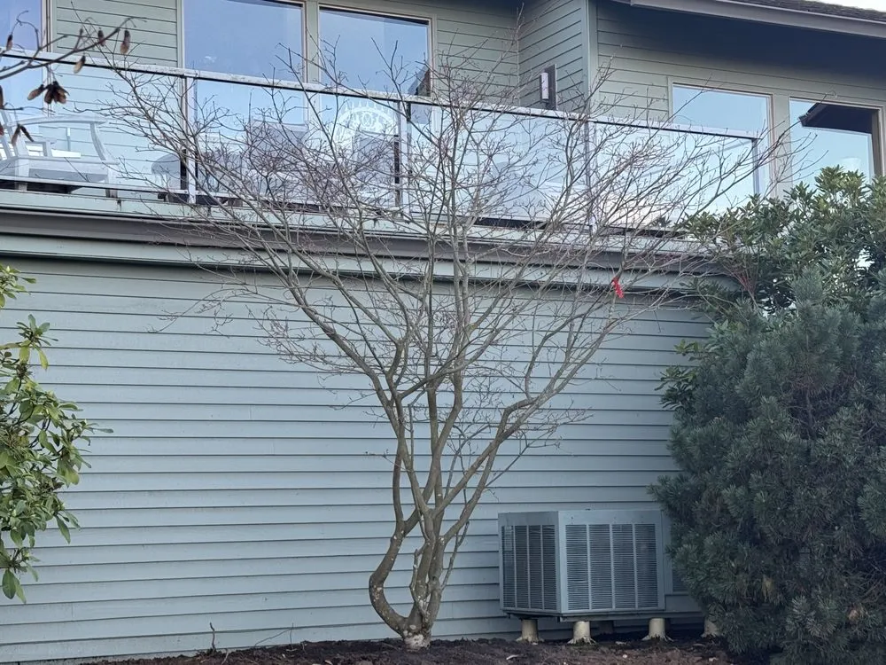 Trusted lawn mowing service in Hillsboro, OR by Big Trees Today