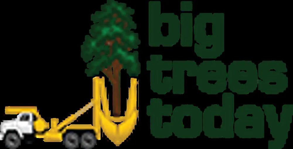 Trusted yard maintenance for beautiful yards across Hillsboro, OR - Big Trees Today