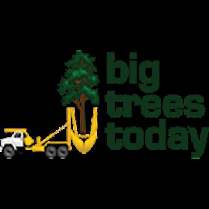 Custom residential landscaping experts serving Hillsboro, OR - Big Trees Today