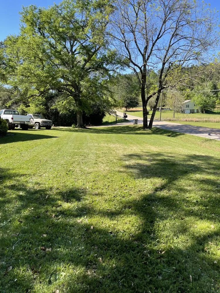 Reliable lawn care service for year-round maintenance in LaGrange, GA by Big T’s lawn care