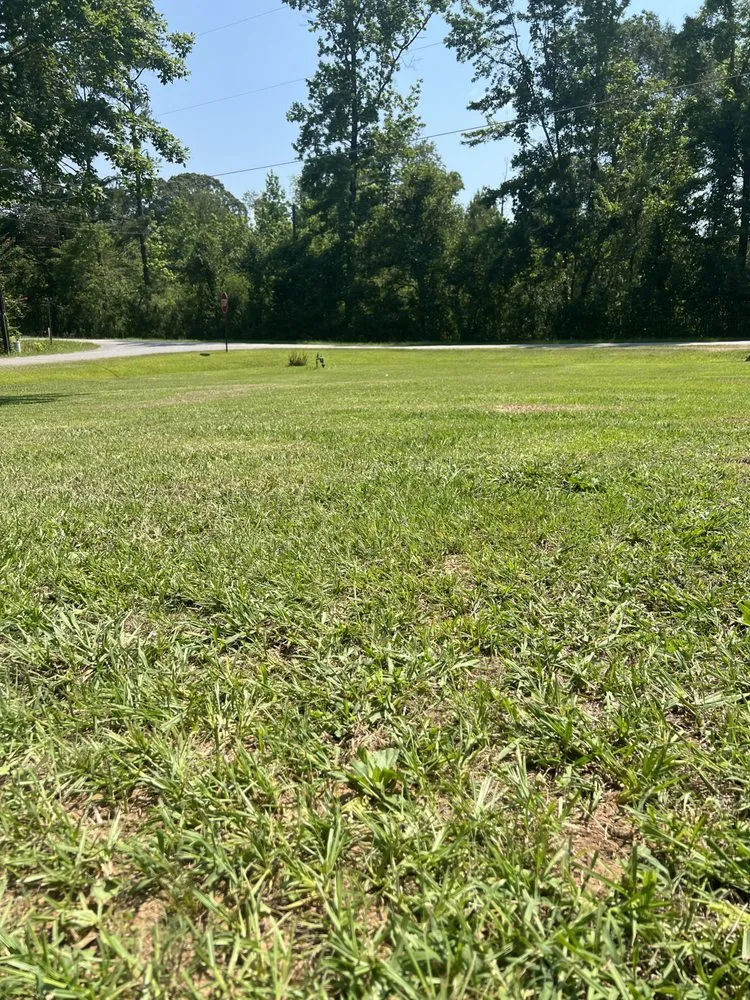 Reliable yard cleanup service experts serving Clanton, AL - Big Turf Guy