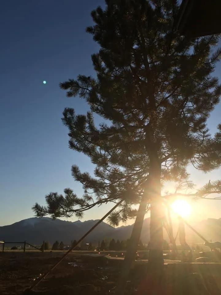 Expert outdoor landscaping with custom design in Corvallis, MT by Big Velvet Landscaping