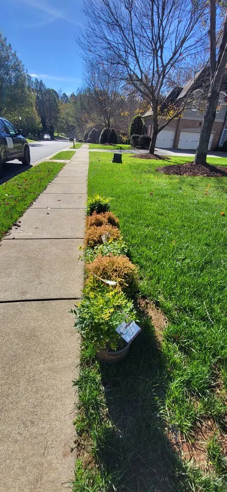 Reliable residential landscaping in Charlotte, NC by Big Visions Landscaping