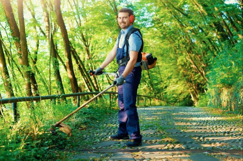 Professional yard maintenance in Excelsior, MN - Big Water Services