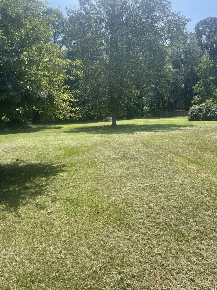 Custom lawn care service experts serving Pembroke, NC - Big Wayne's Lawncare