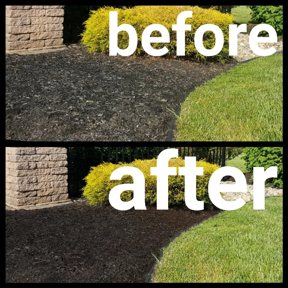 Trusted yard cleanup service in Cibolo, TX - Big Weed's Lawn Services