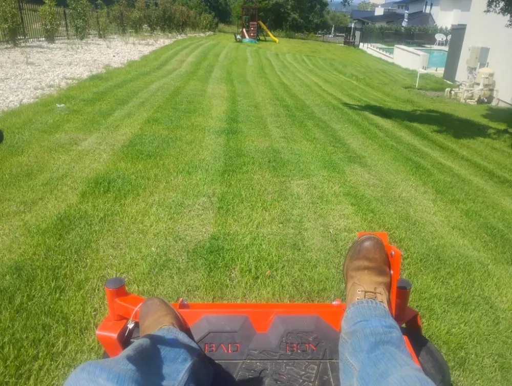 Trusted yard cleanup service experts serving Cibolo, TX - Big Weed's Lawn Services