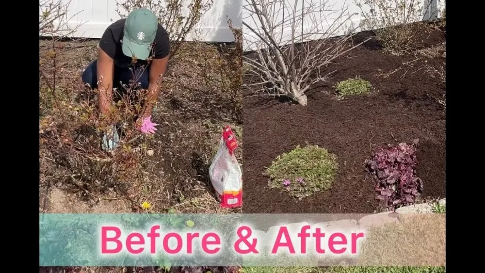 Professional outdoor landscaping experts serving Cibolo, TX - Big Weed's Lawn Services