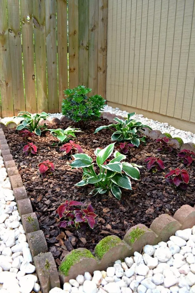 Custom yard maintenance in Cibolo, TX by Big Weed's Lawn Services