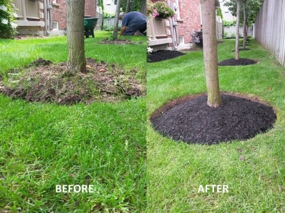 Top-rated residential landscaping for outdoor upgrades across Cibolo, TX - Big Weed's Lawn Services