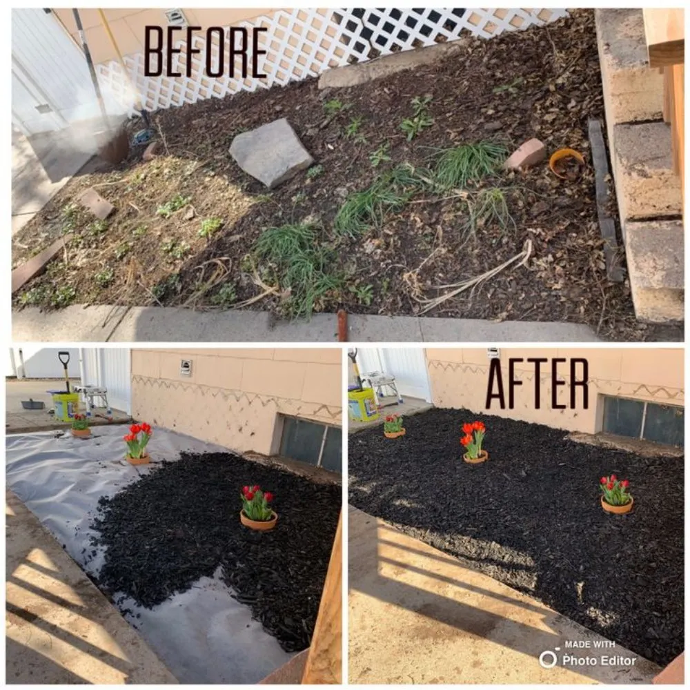 Expert lawn mowing service in Cibolo, TX - Big Weed's Lawn Services