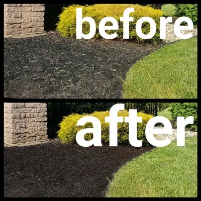 Big Weed's Lawn Services Logo