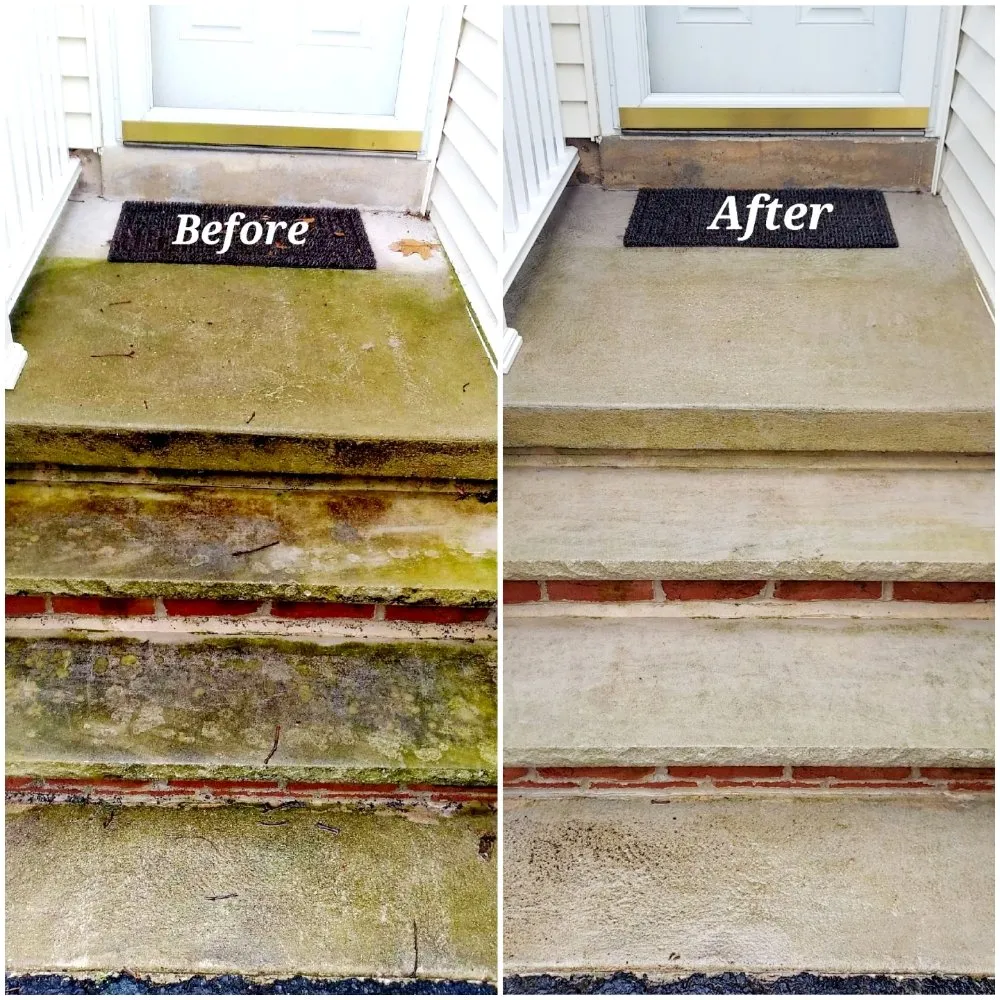 Top-rated yard maintenance for beautiful yards across Dover, DE - Big Yetis