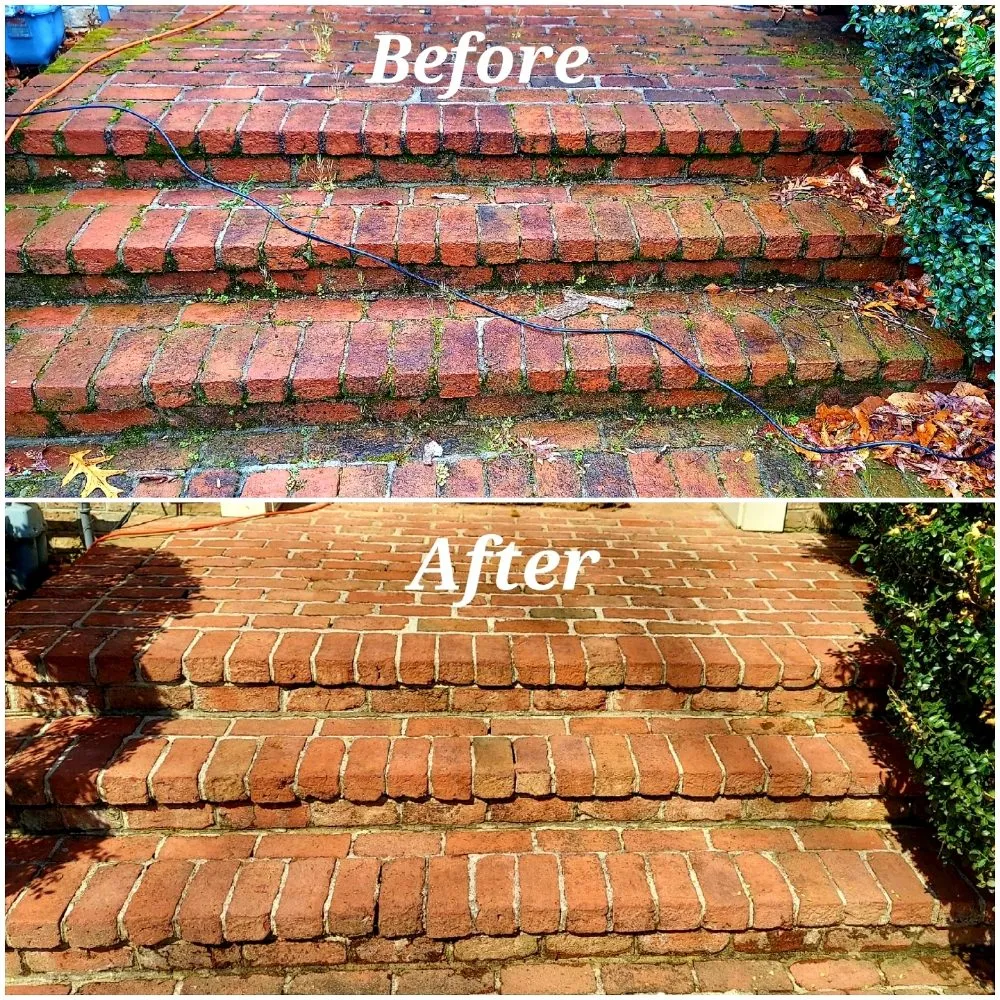 Reliable lawn mowing service in Dover, DE - Big Yetis