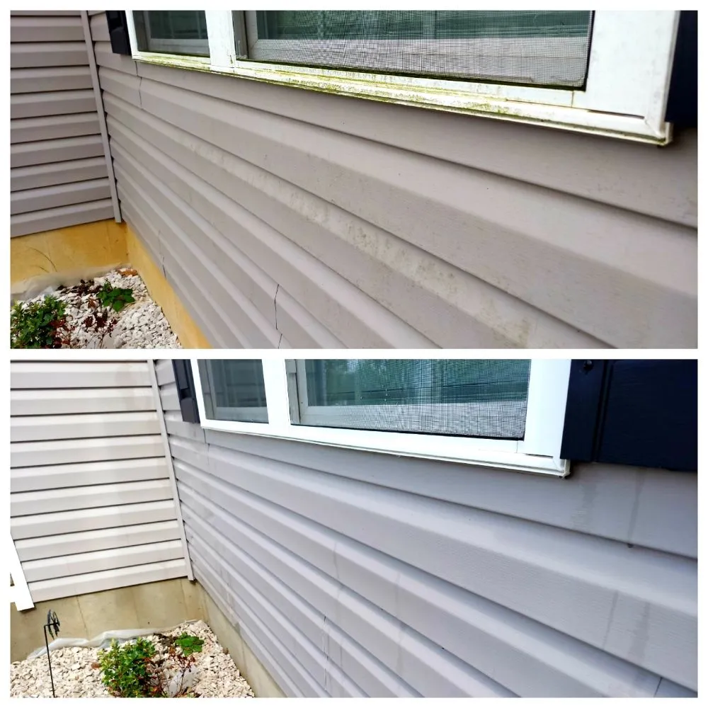 Affordable landscape design for year-round maintenance in Dover, DE by Big Yetis