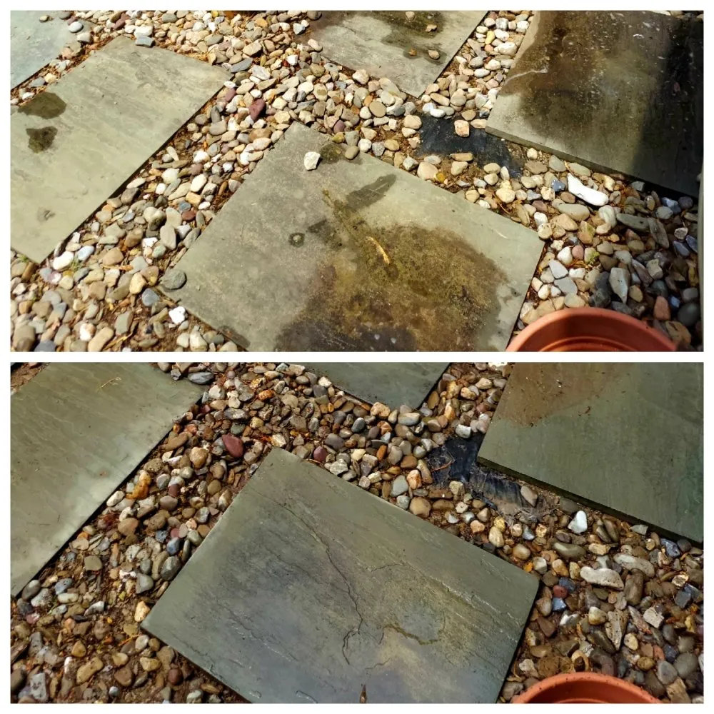 Trusted yard cleanup service for residential properties in Dover, DE by Big Yetis