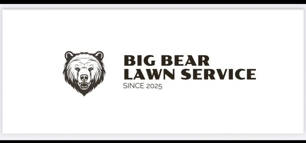 Expert yard cleanup service for beautiful yards in Albany, OH by BigBear Lawn Service