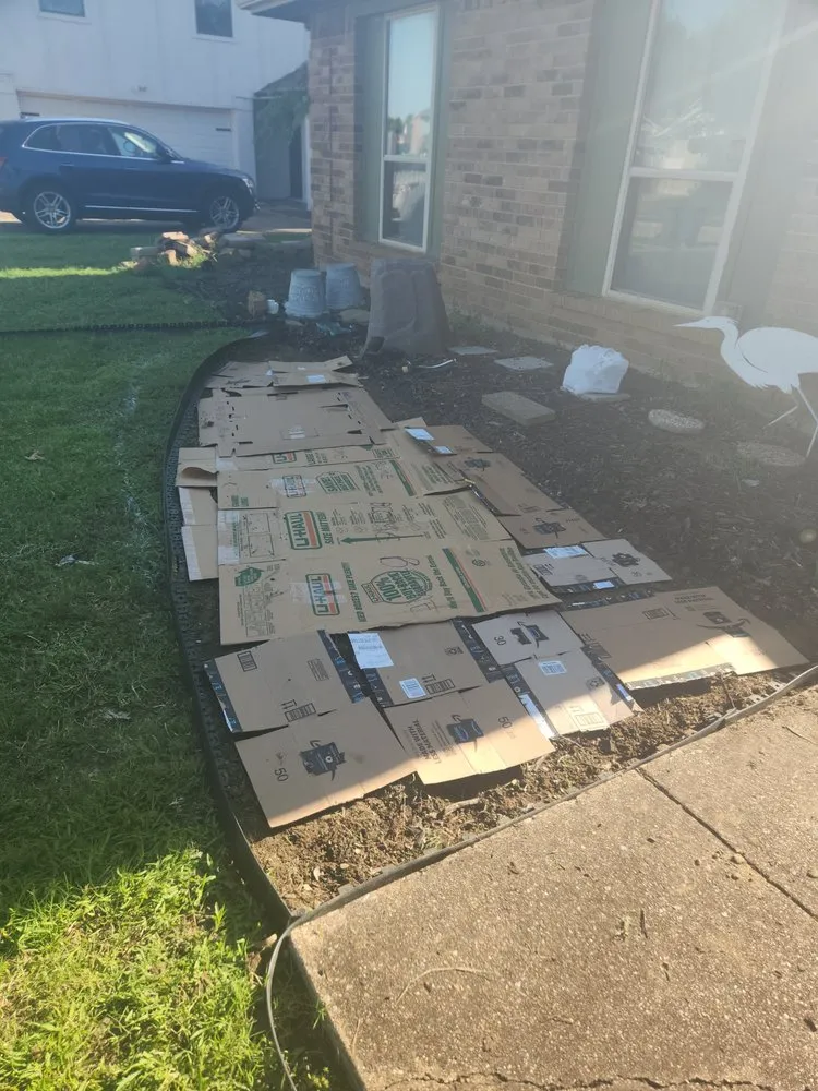 Custom landscape installation for outdoor upgrades across Lewisville, TX - Bigdaddyrudys Landscaping