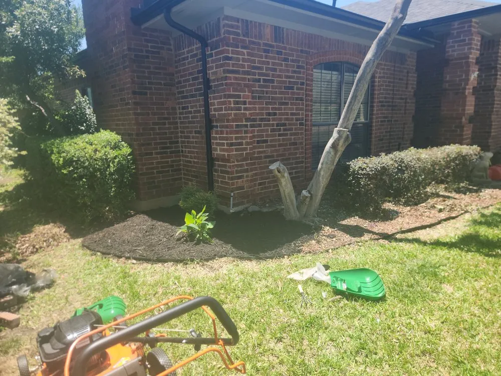 Local lawn care service in Lewisville, TX by Bigdaddyrudys Landscaping