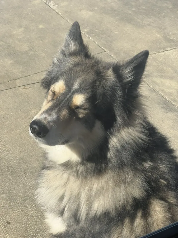 Affordable landscape installation in Youngstown, OH by BigDawg's Lawncare