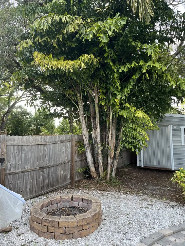 Affordable landscape design for beautiful yards across St. Petersburg, FL - Bigdog Lawn care