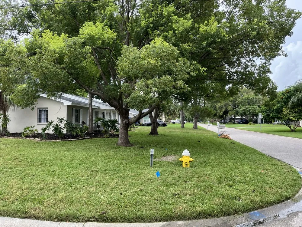 Affordable landscaping services in St. Petersburg, FL - Bigdog Lawn care