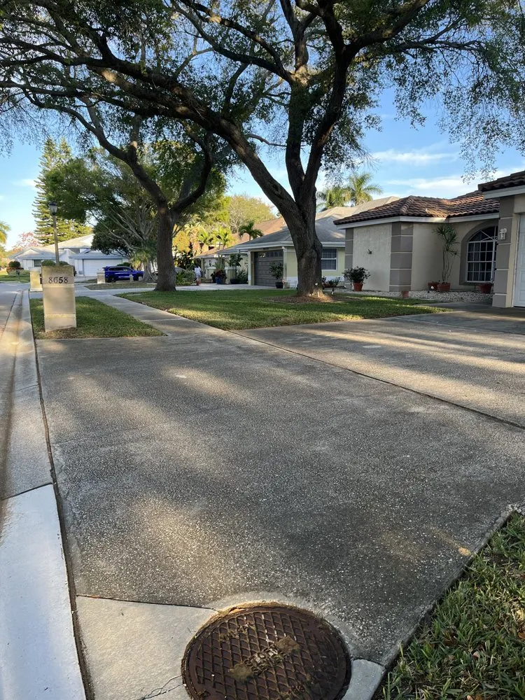 Top-rated lawn care service for residential properties in St. Petersburg, FL by Bigdog Lawn care