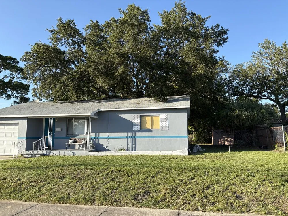 Expert yard cleanup service for outdoor upgrades across St. Petersburg, FL - Bigdog Lawn care