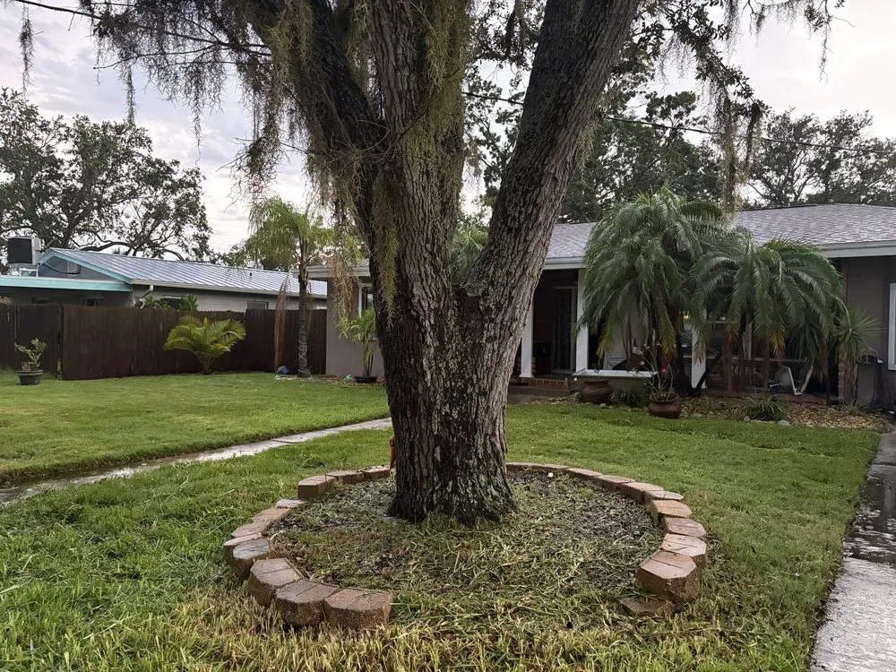 Local lawn care service experts serving St. Petersburg, FL - Bigdog Lawn care