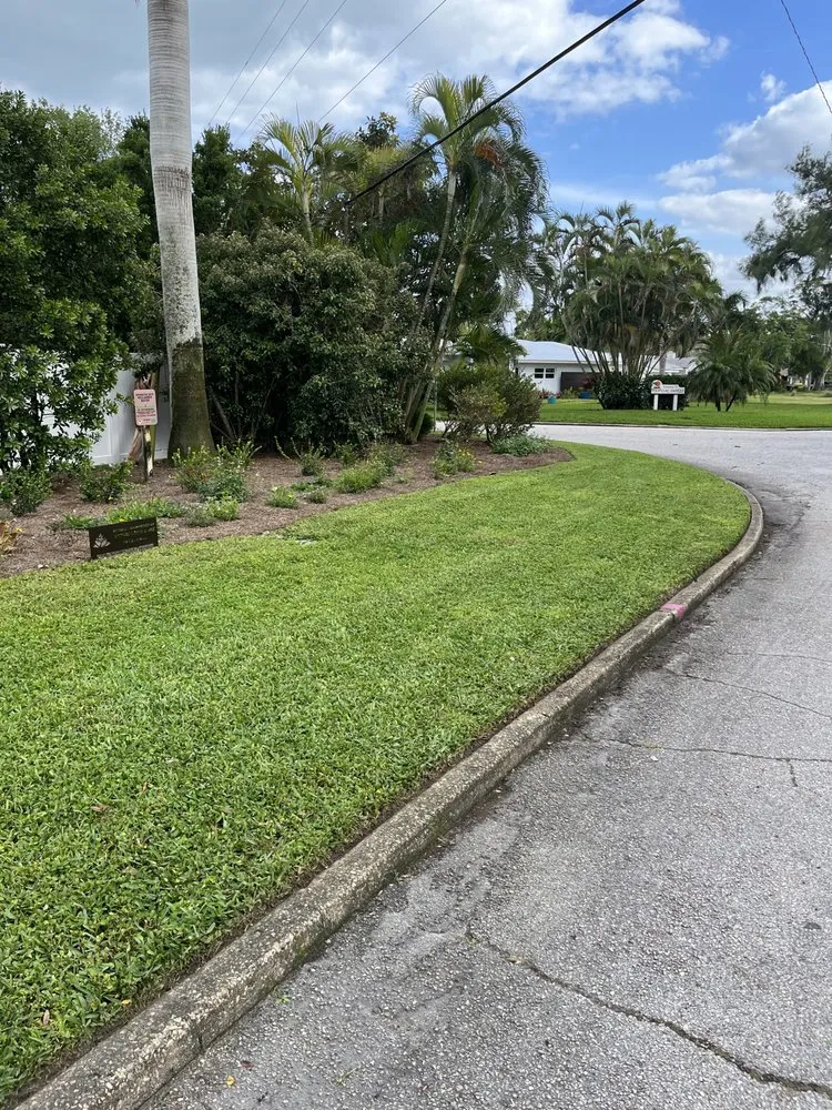 Top-rated yard cleanup service for homes in St. Petersburg, FL by Bigdog Lawn care