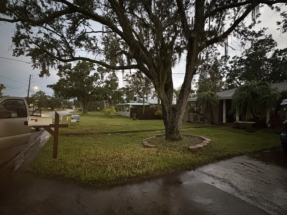 Affordable lawn mowing service in St. Petersburg, FL - Bigdog Lawn care