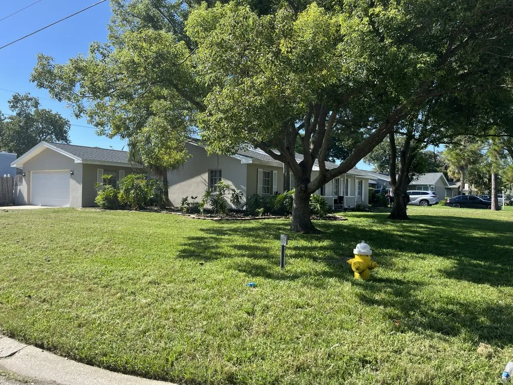 Professional landscaping services in St. Petersburg, FL - Bigdog Lawn care