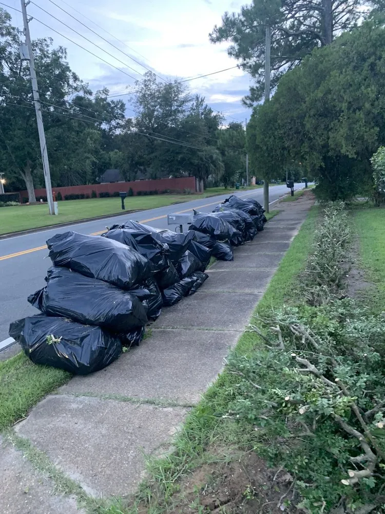 Affordable lawn care service for homes in Gretna, FL by BigDracoo