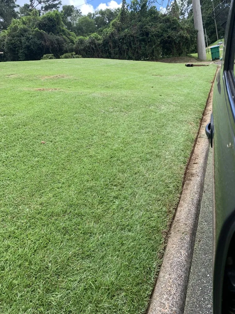 Top-rated yard cleanup service for homes across Gretna, FL - BigDracoo