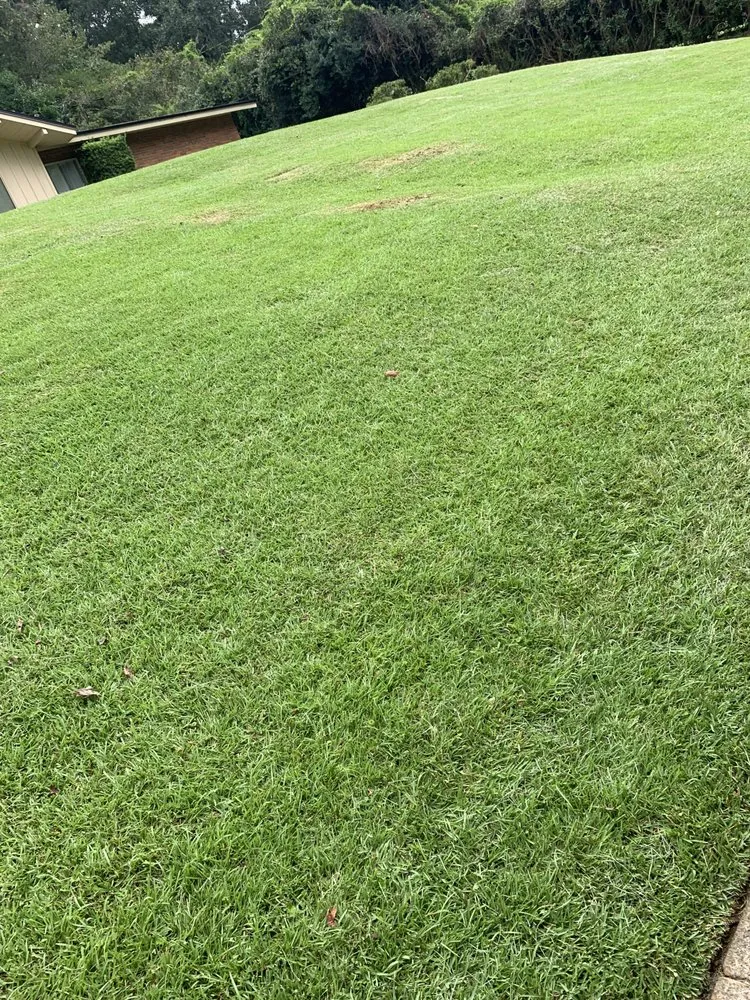 Top-rated lawn care service experts serving Gretna, FL - BigDracoo