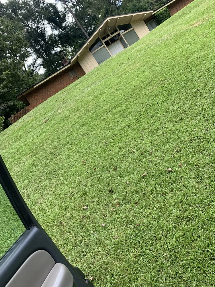 Local lawn mowing service experts serving Gretna, FL - BigDracoo