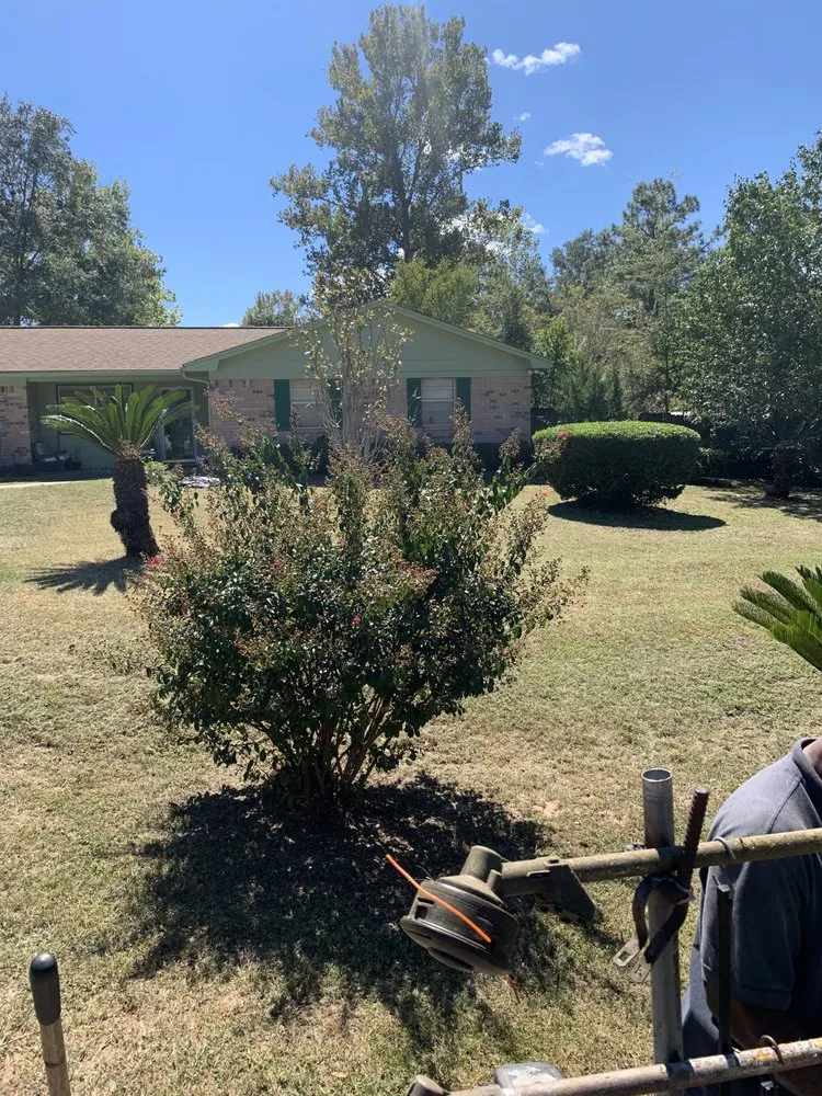 Reliable garden landscaping near you in Gretna, FL by BigDracoo